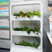 ■来場者の投票により3位の作品■