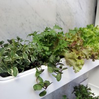 「プランタワー」空デザイン/角 範昭